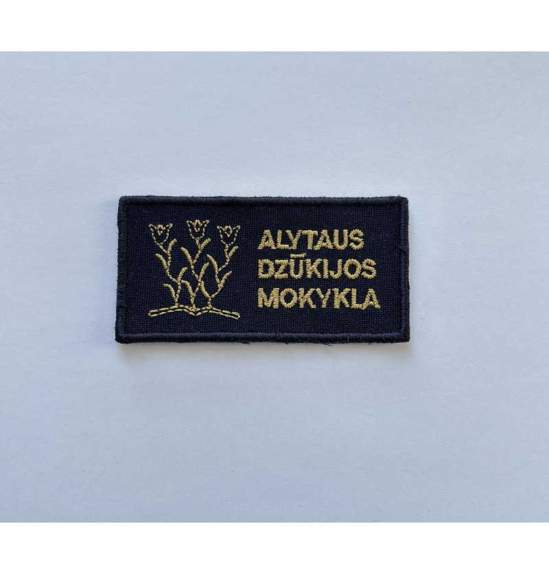 Alytaus Dzūkijos mokykla...